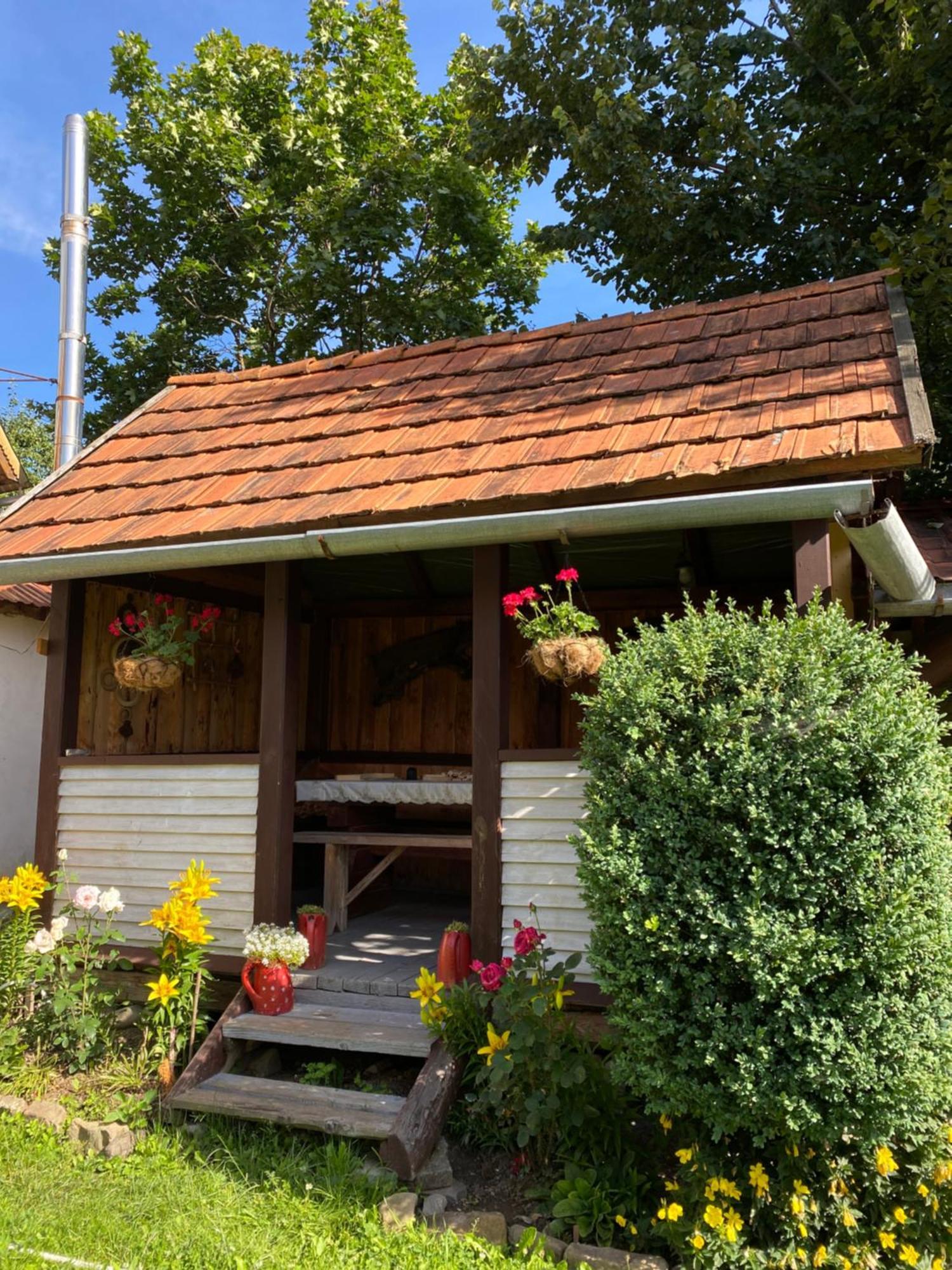 Hotel У Олега Verkhne-Studenyy Exterior foto